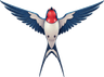 Swallow Logo